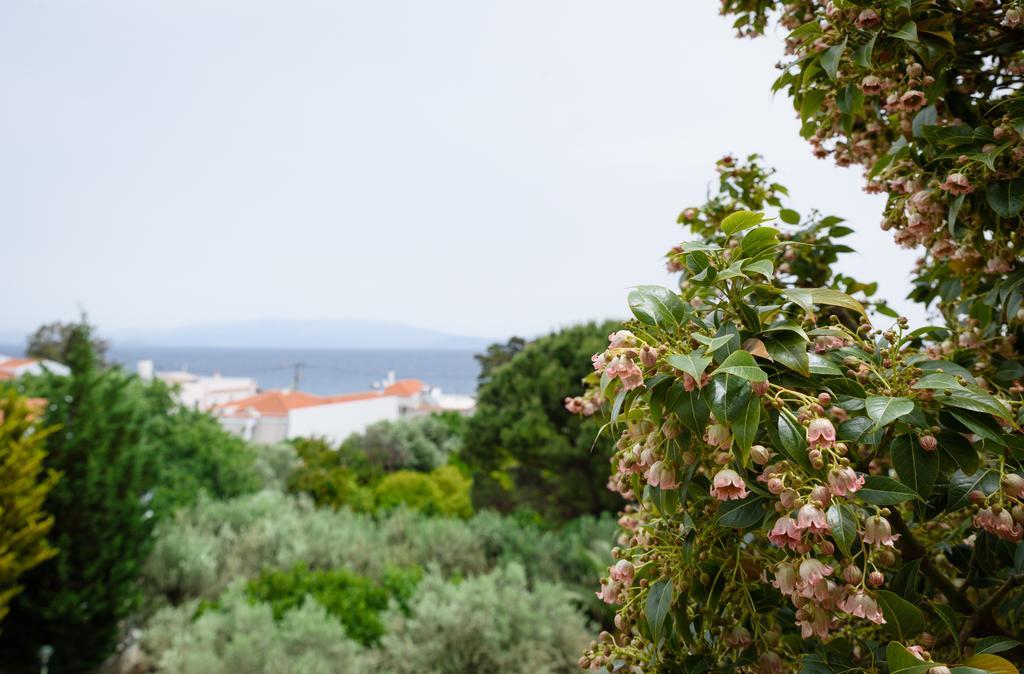 Kyveli Hotel Apartments Vrontádos Eksteriør bilde