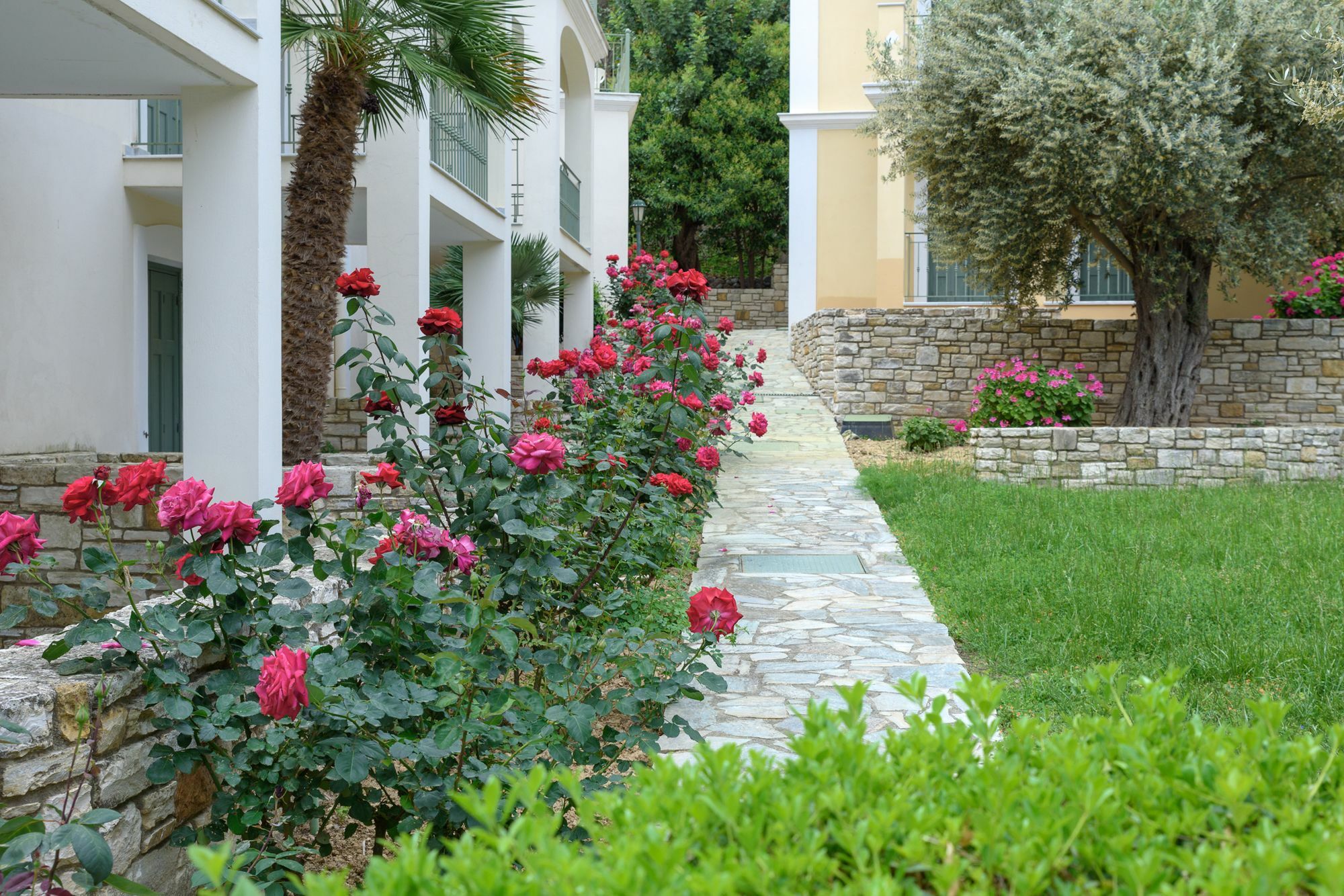 Kyveli Hotel Apartments Vrontádos Eksteriør bilde